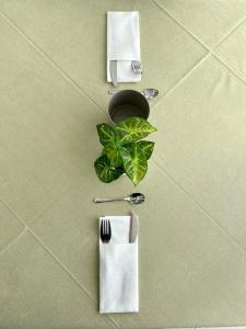 a table with a fork and napkin and a plant at HOTEL FLYING in Pesaro