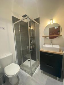 ein Bad mit einer Dusche, einem WC und einem Waschbecken in der Unterkunft LE GERSOIS - T2 Moderne - AUCH CENTRE- WiFi Gratuit in Auch