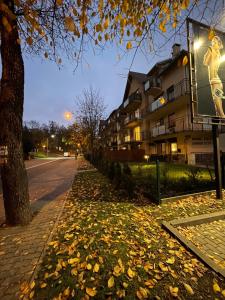 uma rua com folhas no chão ao lado de um edifício em STUDIO ONE ogródek i parking em Gorzów Wielkopolski