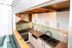 Kuchyňa alebo kuchynka v ubytovaní Rikanthos Stone Sea View Apartment Ι