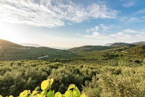 Príroda v okolí apartmánu