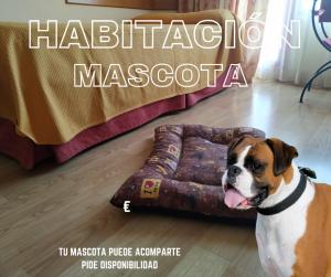 Fotografia z galérie ubytovania Área de Servicio El Cruce v destinácii Manzanares