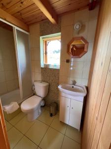 Kúpeľňa v ubytovaní Domki letniskowe w Pieninach