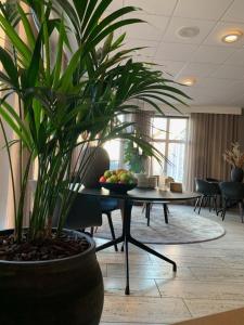 Fotografie z fotogalerie ubytování Hotel Skivehus v destinaci Skive