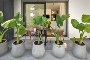 Luxury Apartments Villa Mala Split外面的花园