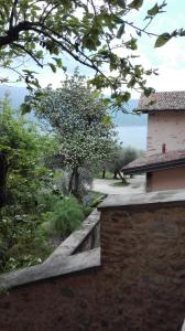 Gallery image of B&B Il Sogno nel Borgo in Gargnano