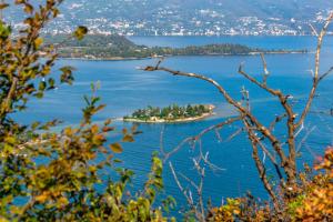 マネルバ・デル・ガルダにあるAHG Donna Silvia Wellness Hotelの大量の水の中の島