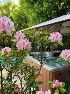 une brousse avec des fleurs roses devant une baignoire dans l'établissement Domaine de la Tannerie les Coulisses, à Prades