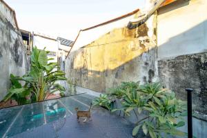Fotografie z fotogalerie ubytování 樂客背包旅棧 Local Backpacker Hostel v destinaci Tchaj-nan