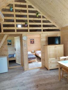 a log cabin with a bedroom and a living room at Na polance dwa domki in Chłopy