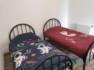 two beds sitting next to each other in a room at Gites les Gambes in Échenoz-le-Sec