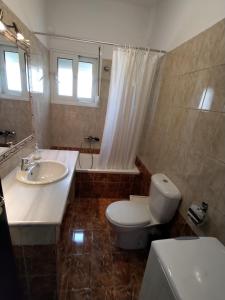 y baño con aseo, lavabo y ducha. en Philoxenia Apartments II, en Plataria