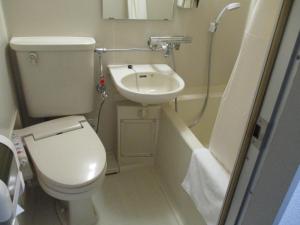 Gallery image of Hotel Tetora HonHachinohe in Hachinohe +6 photos