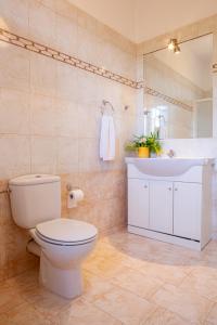 une salle de bain avec toilettes et lavabo dans l'établissement Epidavros Land Villa Orfeas, à Ancient Epidavros