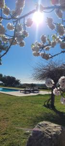 a tree with white flowers in a park at Terre Di Vendicari in Noto