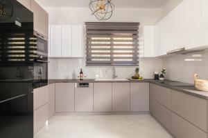 Kuchyň nebo kuchyňský kout v ubytování Solis Ortus Villa! + 28 fotografií