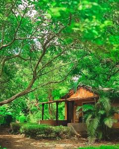 Nature's Nest Eco Resort Goa, Near Dudhsagar Waterfalls في Molem: منزل صغير وسط غابة