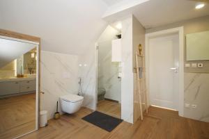 une salle de bain avec douche et toilettes dans l'établissement Apartament Daisy, à Szczawno-Zdrój 19 autres photos