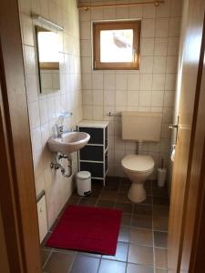 雷根Ferienhaus Walter im Waldferiendorf的带马桶和水槽的小浴室 更多19张照片