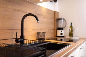 zlew kuchenny z kranem na ladzie w obiekcie Apartman Ruza w Krku +37 zdjęć