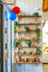 a shelf with potted plants and a blue balloon at EuroParcs Buitenhuizen in Velsen-Zuid