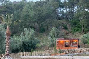 Gallery image of Tiny Mini House in Dalaman