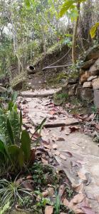 Gallery image of Gocta Miradors Deluxe in Cocachimba