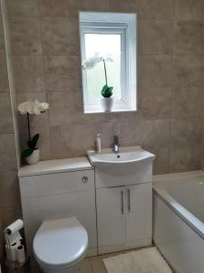 a bathroom with a toilet and a sink and a window at Cheerful home close to the city and Peak District in Neepsend