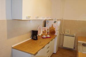 Kuchyňa alebo kuchynka v ubytovaní Apartment Suzi Valdebek