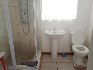 a bathroom with a shower and a toilet and a sink at Rheola's Guest Cottage in Harrismith