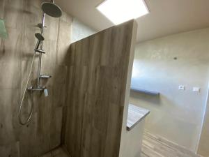 a bathroom with a shower with a wooden wall at CAP 8 in Le Marin