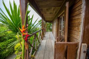Gallery image of Roça Saudade Guest House in Trindade