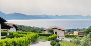 een wijngaard met uitzicht op het water en de bergen bij TRE BORGHI in San Giovanni a Piro