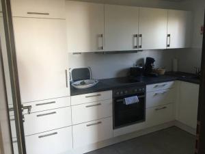 Kuchyň nebo kuchyňský kout v ubytování Exklusives Apartment in Bad Säckingen für 2 Person