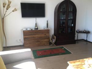 TV a/nebo společenská místnost v ubytování Exklusives Apartment in Bad Säckingen für 2 Person