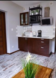 uma cozinha com um balcão e um micro-ondas em Apartament Evita em Karpacz