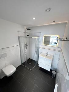 a bathroom with a sink and a shower and a toilet at kleines boardinghouse in Nordwalde