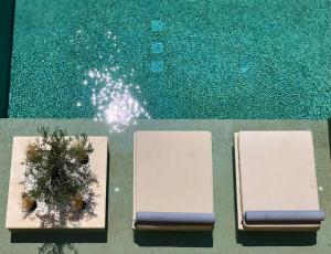 a plant in a box next to a pool at Helen Hotel in Poros