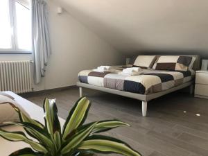1 dormitorio con 1 cama y una maceta en Farau B&B, en Messina