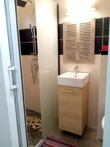 uma pequena casa de banho com um lavatório e um chuveiro em Studio avec terrasse et wifi a Canton des Abymes 3 a 2 km de la plage em Le Gosier