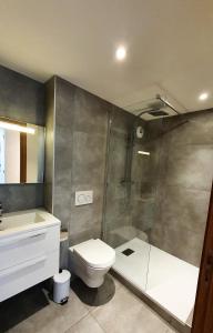 a bathroom with a shower and a toilet and a sink at La Cordee - Charmant Appartement - 4 personnes in Chamonix-Mont-Blanc