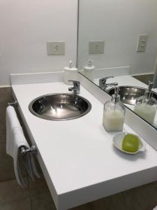 un bancone del bagno con lavandino e specchio di Studio Coirón a Comodoro Rivadavia