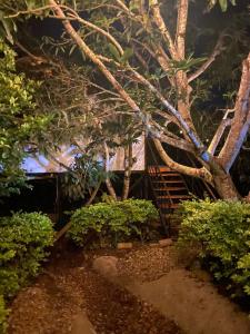 Ein Garten an der Unterkunft Glamping Entrearboles - Bellavista
