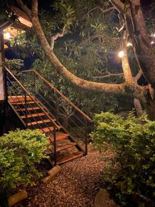 Ein Garten an der Unterkunft Glamping Entrearboles - Bellavista