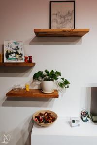 a shelf with a bowl of plants on a counter at ZAZA Apartament - central area, with balcony in Târgu Jiu