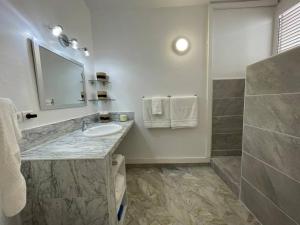 Koupelna v ubytování Appart adorable proche de la baie orientale, Idolem résidence unité 2 - 57 Rue du Mont Vernon 1