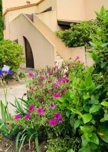 a bunch of pink flowers in front of a building at T2 bis terrasse PORT LEUCATE in Port Leucate