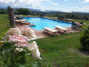 a large swimming pool with picnic tables and flowers at Fattoria la Gigliola - La Limonaia in Montespertoli
