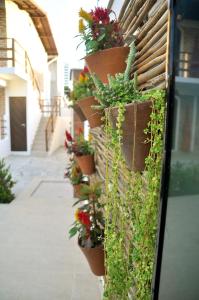 OXENTE Natal في ناتال: صف من النباتات الفخارية على جانب المبنى