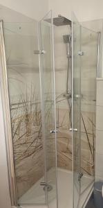 una doccia con porta in vetro in bagno di NEUES Ferienhaus "Kolibri" direkt in Wandlitz See a Wandlitz